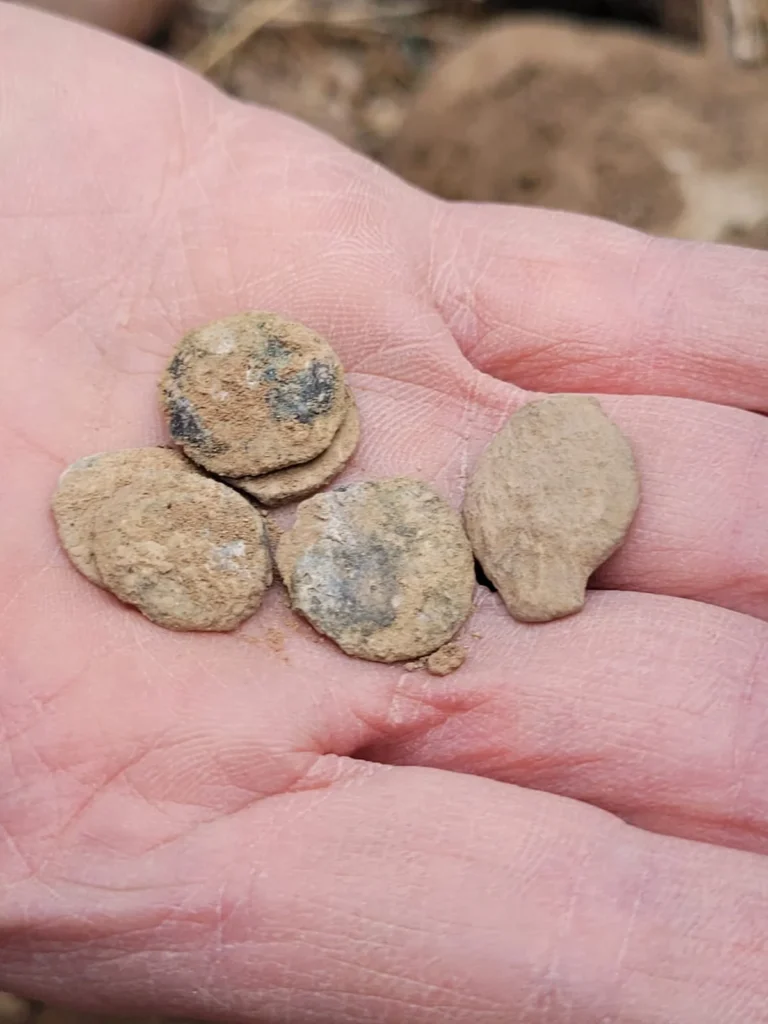 Hundreds Of Ancient Coins Uncovered In The “City Of Palm Trees” – Greek Inscription Adds Mystery