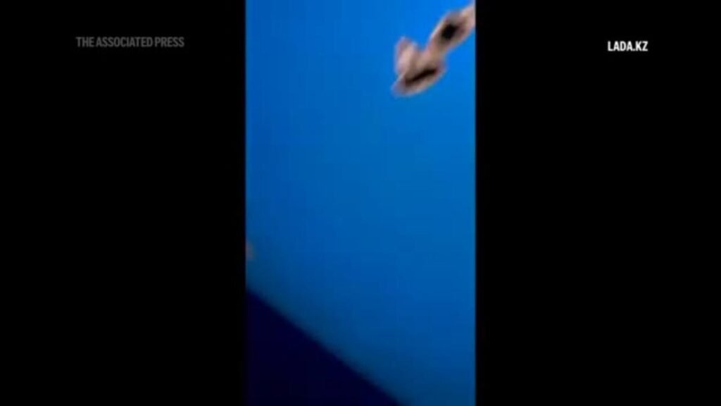 Holes seen in the tail of the plane crashed in Kazakhstan Holes seen in the tail of the plane crashed in Kazakhstan
