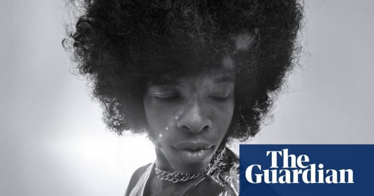Elon Musk, the Titan disaster and Sly Stone: the most anticipated documentaries of 2025 | Documentary films
