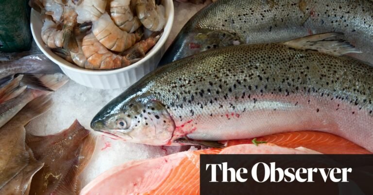 Chefs and home cooks send trout sales leaping amid farmed salmon fears | Fish