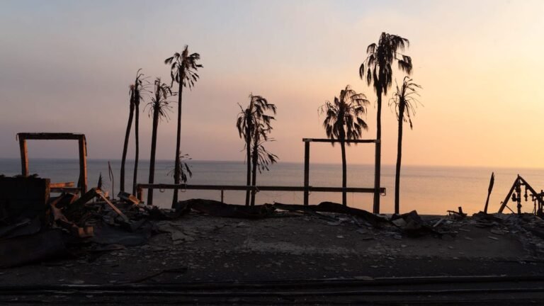 Jamie Lee Curtis donates M, celebs flee homes