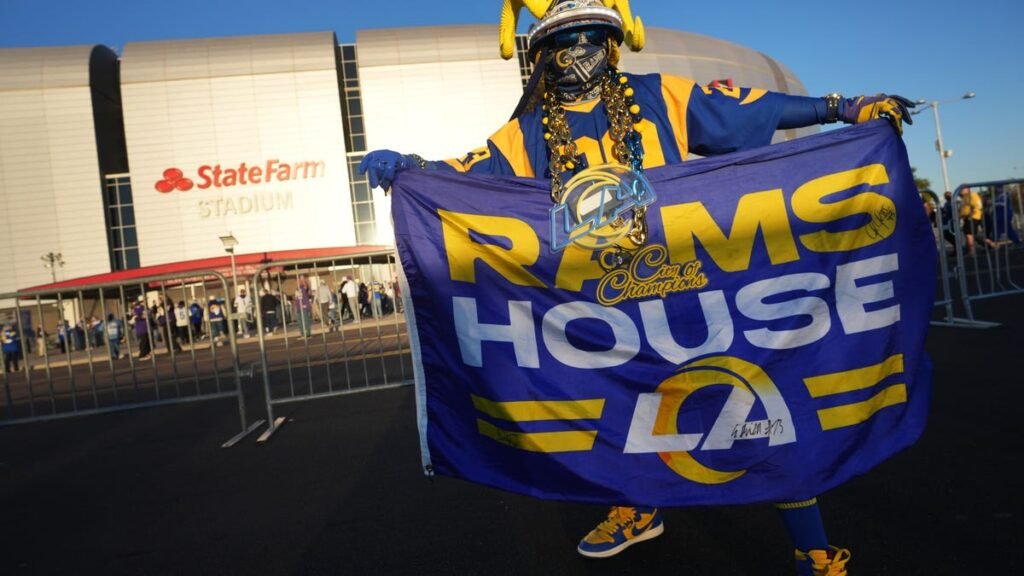 Roger Goodell praises AZ Cardinals for LA-Vikings game move Roger Goodell praises AZ Cardinals for LA-Vikings game move