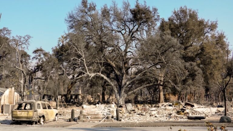 Death toll in Southern California wildfires climbs to 16 – NBC Los Angeles