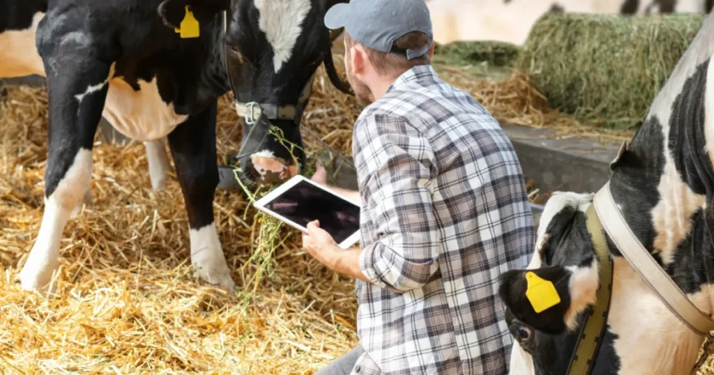 First report on EU-wide sales and use of antimicrobials in animals