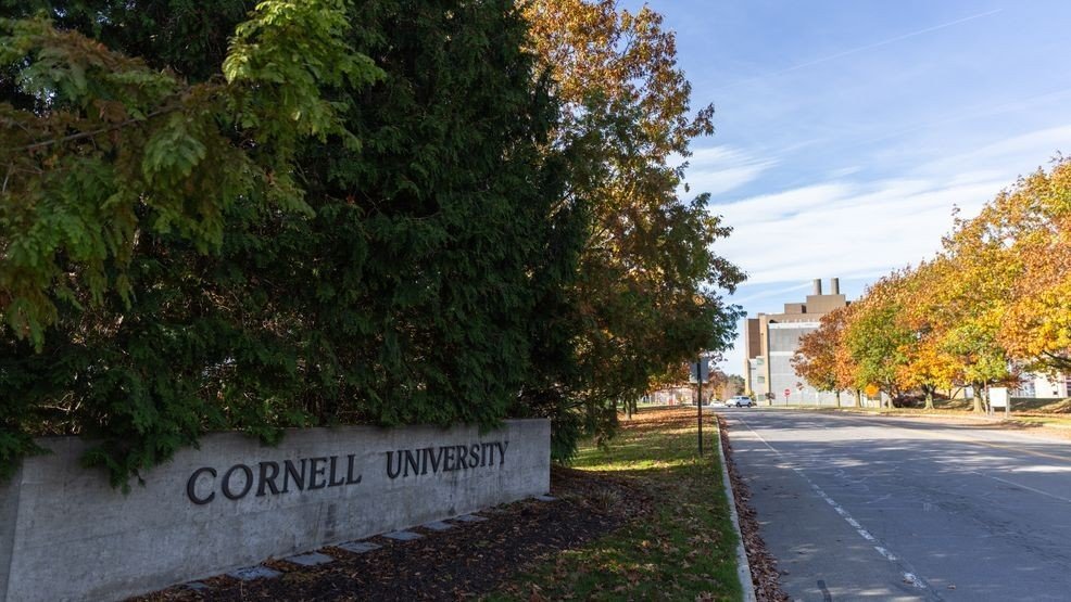 Sen. Gillibrand calls Trump a ‘toddler’ for cutting federal funding to Cornell University Sen. Gillibrand calls Trump a ‘toddler’ for cutting federal funding to Cornell University