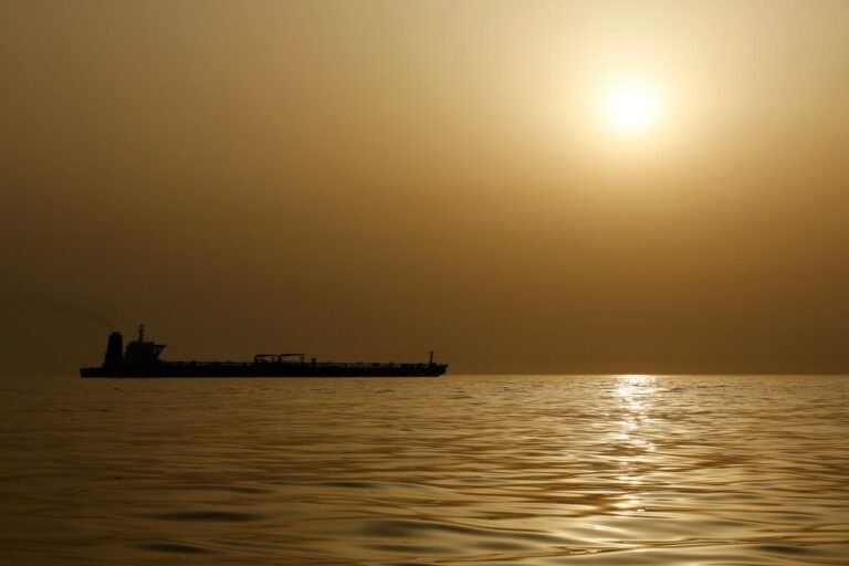 US Sanctions Indian National Allegedly Linked to Iranian Oil