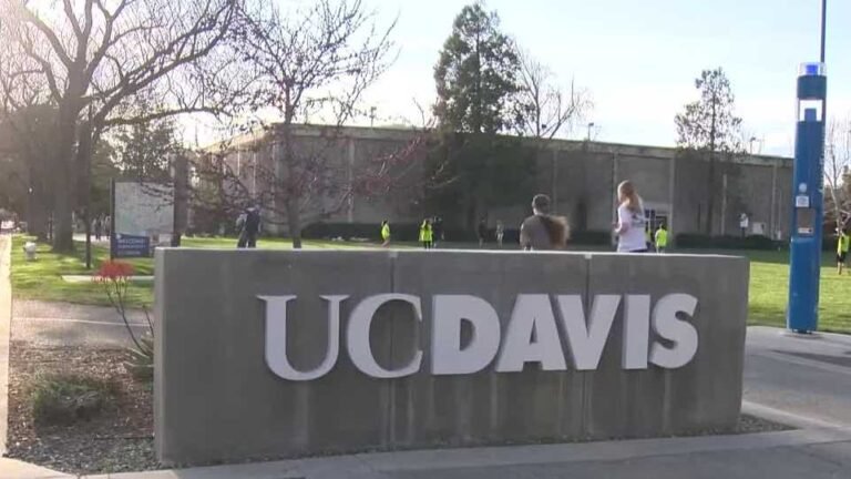International students ‘anxious’ after visas for 12 UC Davis students revoked
