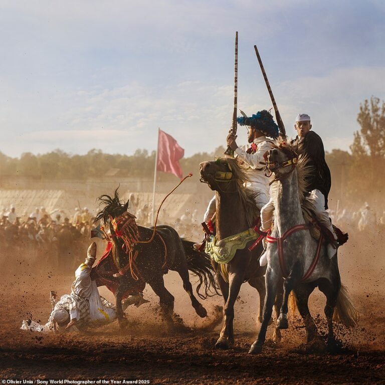 From a powerful Moroccan equestrian performance to a female Peruvian prison: The breathtaking winners of the 2025 Sony World Photography Awards revealed