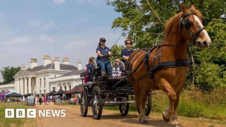 Hyland House horse and carriage rides to end after 17 years